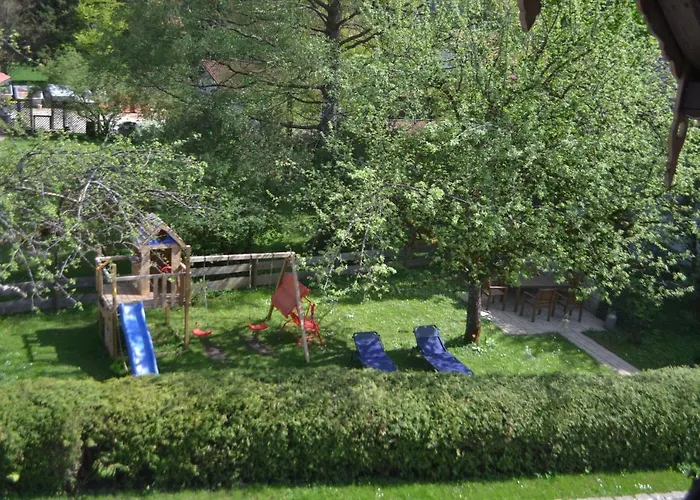 Beim Kreuzfelder Zwiesel *